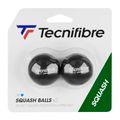 Tecnifibre squashové míčky sq Balls Red Dot 2p black 54BASQUBLU