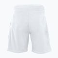 Pánské tenisové šortky Tecnifibre Stretch white 23STRE 2