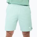 Pánské tenisové šortky Tecnifibre Team Stretch Short sage 2