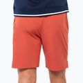 Pánské tenisové šortky Tecnifibre Team Stretch Short terracotta 2