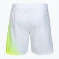 Pánské tenisové šortky Tecnifibre X-Loop white/yellow 6