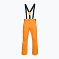 Pánské lyžařské kalhoty Rossignol Ski sunburst 8