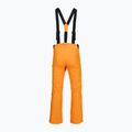 Pánské lyžařské kalhoty Rossignol Ski sunburst 9