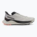 Pánské běžecké boty Rossignol Venosk light grey 2