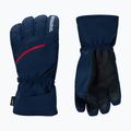 Pánské lyžařské rukavice Rossignol Perf R-Shell Thermal dark navy 2