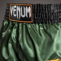 Pánské tréninkové šortky Venum Classic Muay Thai green/gold/black 4
