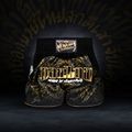 Trekové  šortky Venum Attack Muay Thai black/gold 6