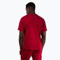 Pánské tričko Venum Silent Power T-Shirt cherry red 4