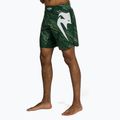Tréninkové šortky Venum Light 5.0 green 3