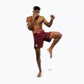 Pánské tréninkové šortky Venum X Ares 2.0 burgundy 5