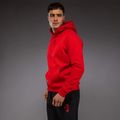 Pánská mikina Venum x Mike Tyson Tiger Hoodie intense red/deep black 4