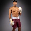 Pánské tréninkové šortky Venum Classic Boxing burgundy 2