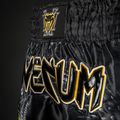Pánské tréninkové šortky Venum Matupa Muay Thai black/grey/gold 6