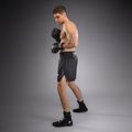 Pánské boxerské šortky Venum Stealth Boxing black/white 4