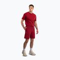 Pánské tréninkové šortky Venum Giant 3D Cotton red 2