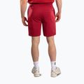 Pánské tréninkové šortky Venum Giant 3D Cotton red 3