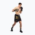 Pánské tréninkové šortky Venum x Mike Tyson Tiger black/gold 2