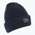 Pánská lyžařská čepice Quiksilver Tofino tmavě modrá EQYHA03301