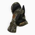 Pánské snowboardové rukavice DC Tribute mossy oak original bottomland