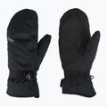 Dámské snowboardové rukavice ROXY Gore Tex Fizz Mitt true black