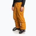 Quiksilver Estate pánské snowboardové kalhoty žluté EQYTP03146 7