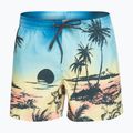 Quiksilver pánské plavecké šortky Everyday Paradise Volley 15" modré EQYJV03999-YFB6