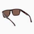 Pánské sluneční brýle Quiksilver Ferris brown tortoise brown 2