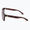 Pánské sluneční brýle Quiksilver Ferris brown tortoise brown 4
