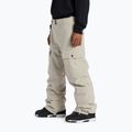 DC Code pánské snowboardové kalhoty plaza taupe 3