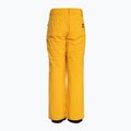 Quiksilver Estate Dětské snowboardové kalhoty Youth mineral yellow 6