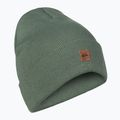 Pánská snowboardová čepice Quiksilver Brigade Beanie s vavřínovým věncem 6