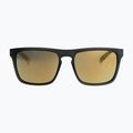 Pánské sluneční brýle Quiksilver Ferris Polarised smoke/gold 6