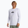 Pánské plavecké tričko Longsleeve Quiksilver Everyday Surf Tee white 2