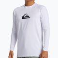 Pánské plavecké tričko Longsleeve Quiksilver Everyday Surf Tee white 4