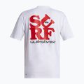 Pánské plavecké tričko Quiksilver Everyday Surf Tee white/black 5