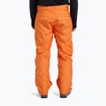 Dětské snowboardové kalhoty Quiksilver Estate orange peel 2