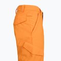 Dětské snowboardové kalhoty DC Banshee Oriole 6