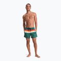 Pánské koupací šortky Quiksilver Everyday Printed Volley 15" forest outside stripe 4