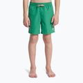 Dětské koupací šortky Quiksilver Everyday Volley 14" leprechaun 3