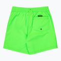 Dětské koupací šortky Quiksilver Everyday Volley 14" green gecko 2