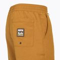 Pánské koupací šortky Billabong Every Other Day Layback spice gold 4