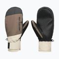 Dámské snowboardové rukavice DC Franchise Mitt W 10K coffee bean