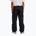 Pánské snowboardové kalhoty DC Banshee black 3