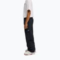 Pánské snowboardové kalhoty DC Banshee black 5