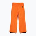 Dětské snowboardové kalhoty Quiksilver Estate vermillon 7