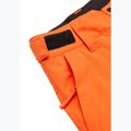 Dětské snowboardové kalhoty Quiksilver Estate vermillon 9