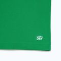 Tenisová polokošile Lacoste DH2568 fluorine green/sinople 9