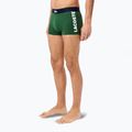 Pánské boxerky Lacoste 5H1291 3-pack thyme/navy blue/white 3
