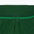 Pánské tenisové šortky Lacoste GH7413 green/calathea 7