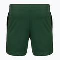 Pánské tenisové šortky Lacoste GH0138 green 2